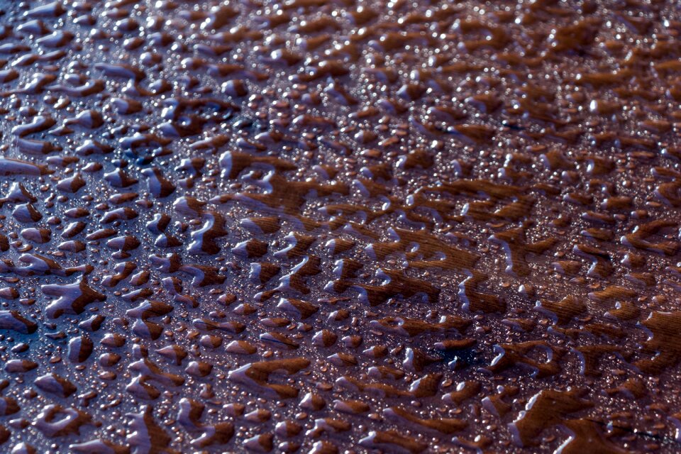 Drip drop of water nature