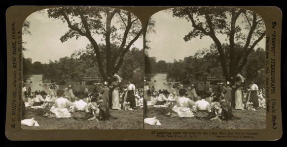 Lunching under the trees by the lake, May Day party, Central Park, New York, U.S.A. LCCN2002736465