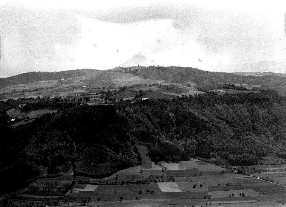 Luftaufnahme des Gurtens - CH-BAR - 3241373