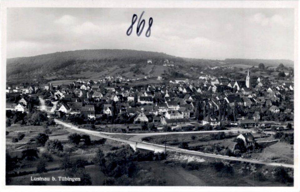 Lustnau vom Österberg (AK 868 I Schäfer)