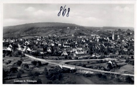 Lustnau vom Österberg (AK 868 I Schäfer)