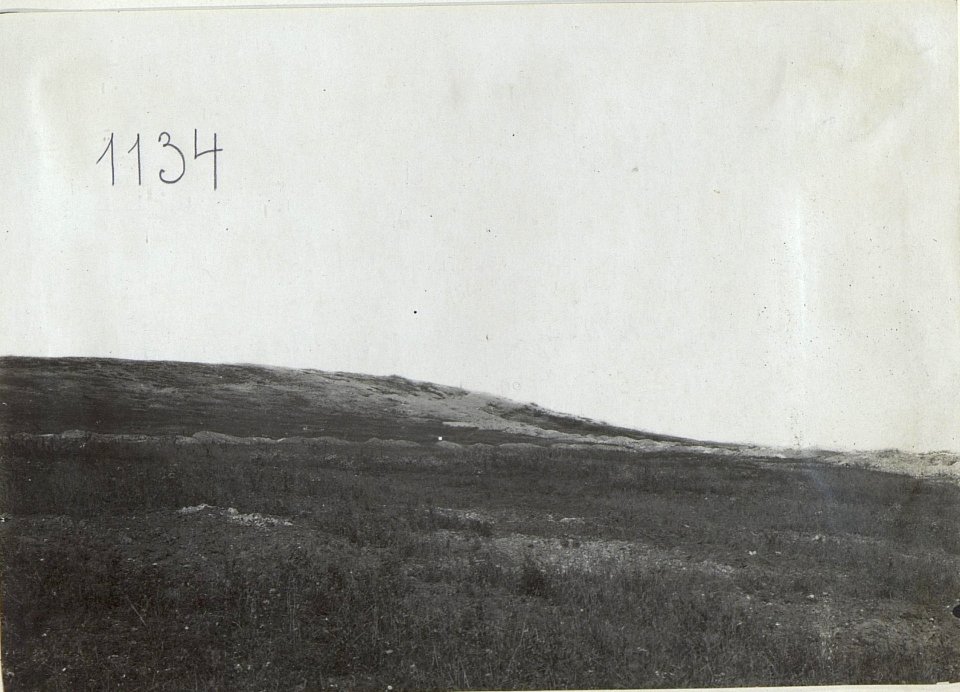 Lysonia, Südkuppe, Blick von der Brzezaner Strasse. (BildID 15729752)