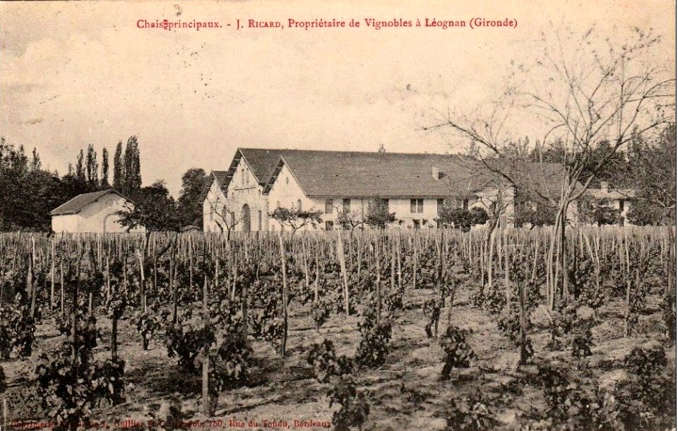 Léognan - vignobles Ricard 1