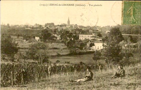 Lussac (Gironde) - vue générale 1