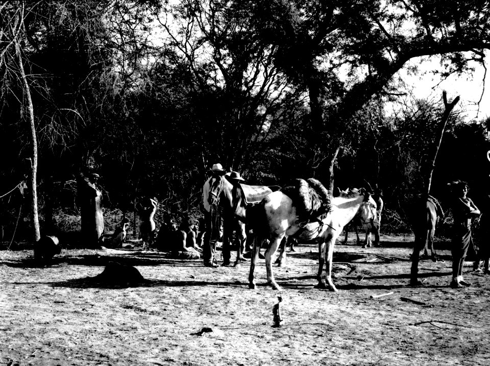 Lägerbild. Gran Chaco, Rio Pilcomayo. Bolivia - SMVK - 004656