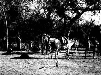 Lägerbild. Gran Chaco, Rio Pilcomayo. Bolivia - SMVK - 004656