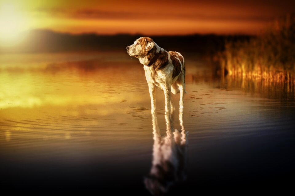 Reflection lake composition
