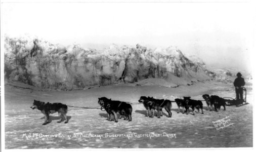 M.J. McCarthy's entry, 3rd All-Alaska sweepstakes, Chester Bilby, driver LCCN96511779