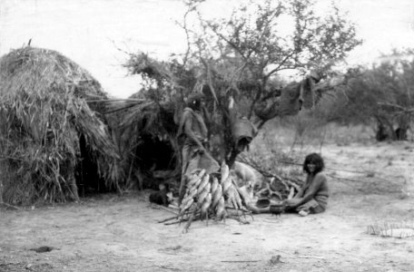 Läger. Beredning av fisk utanför hydda (rostning). 3 fotos. Rio Pilcomayo, Bolivianska Chaco - SMVK - 004721