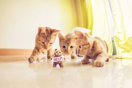 Cute fun interesting
