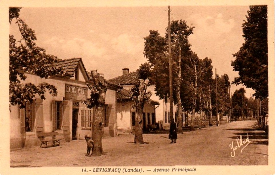 Lévignacq - Rue Principale