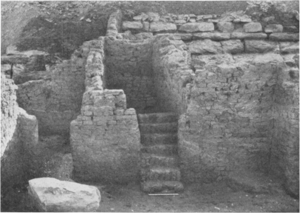 Mace Lisht BMMA 17-12 14