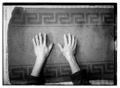 M. Sieveking's hands LCCN2014700932