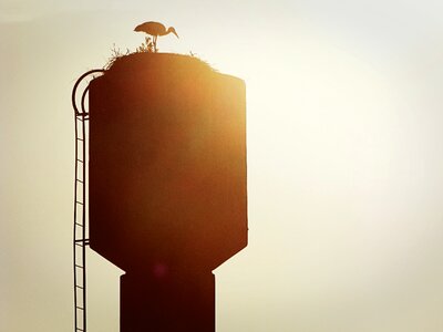 Silhouette sun ladder
