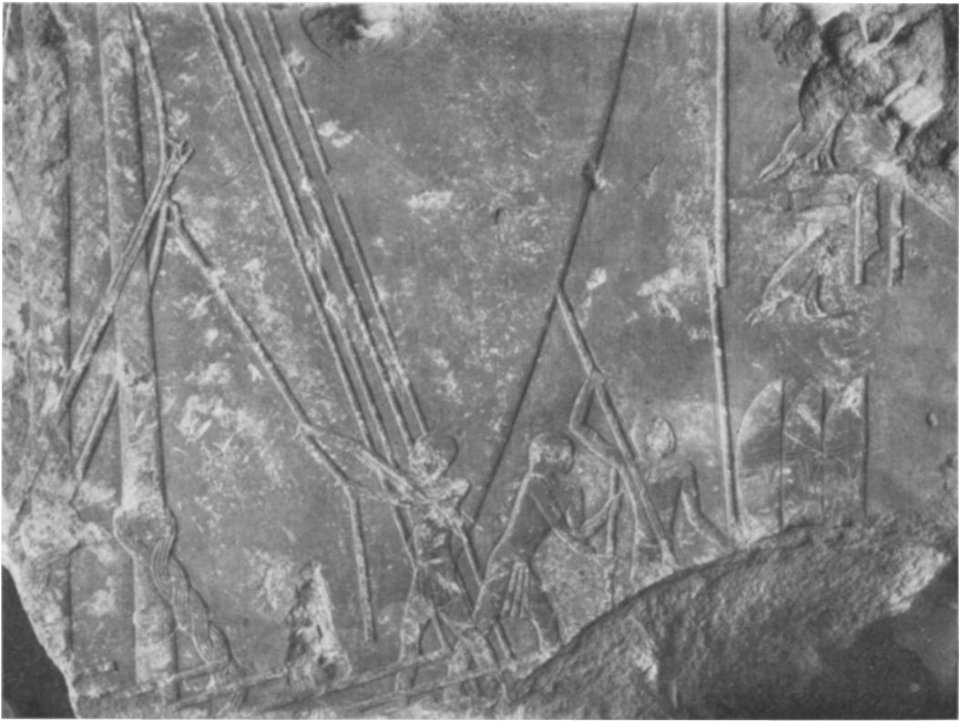 Mace Lisht BMMA 17-12 12