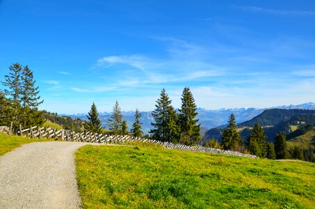Away fence alpine