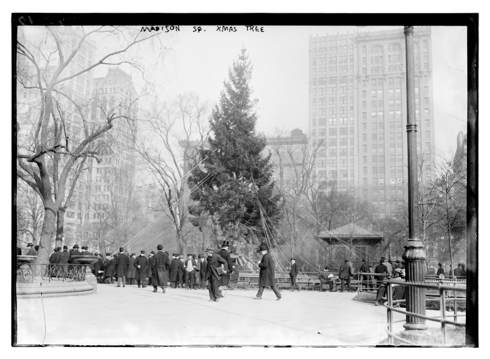 Madison Sq. Xmas tree LCCN2014695045