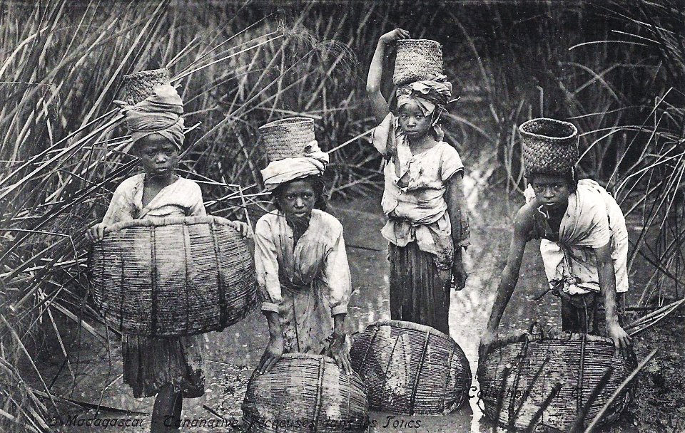 Madagascar-Tananarive-Pêcheuses dans les joncs