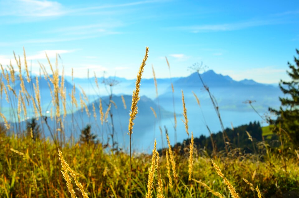 Pilatus vouch stock the summit distant