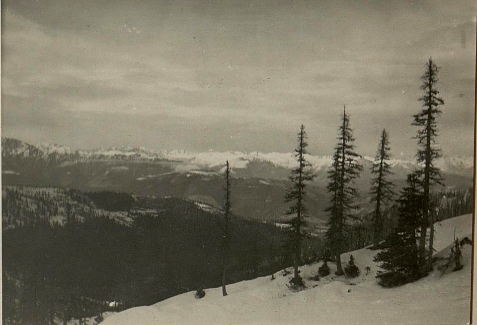 Madritschner Artilleriestellung + 1914, Blick nach Norden. (BildID 15471359)