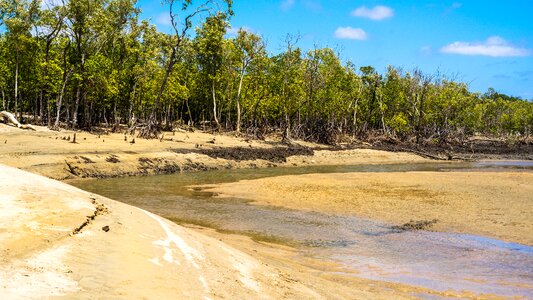 Saunders is north of townsville clean beach saunders camping park