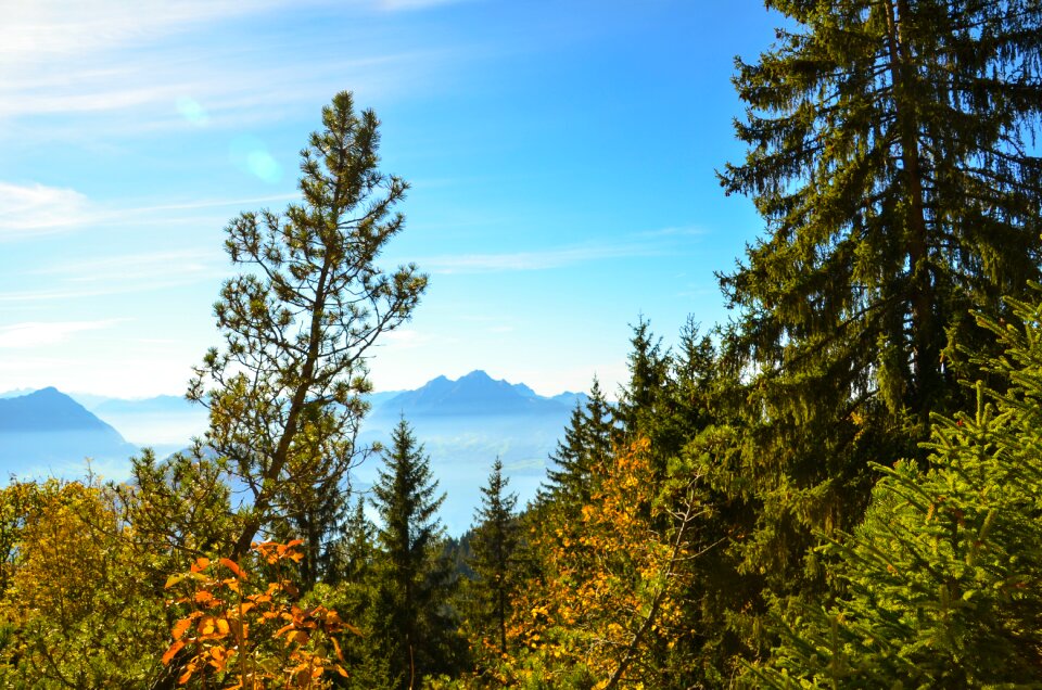 Switzerland rigi the summit distant