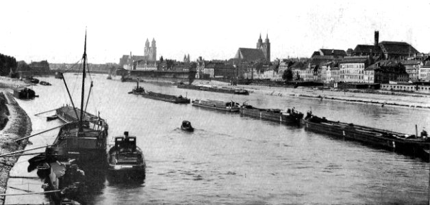 Magdeburg Magdeburg Blick auf die Elbe von der Hindenburgbrücke