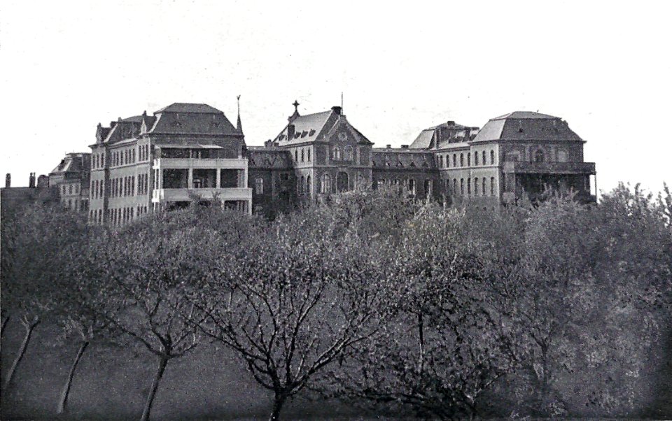 Magdeburg Samariterhaus, Hinterfront, Abb 4