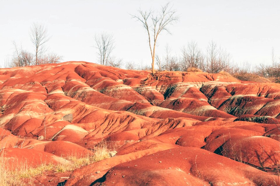 Land red landscape