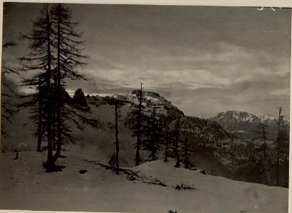 Madritschen + 1914. Artilleriestellung, Blick gegen den Zweikofel Tröppolacher Alm. (BildID 15471345)