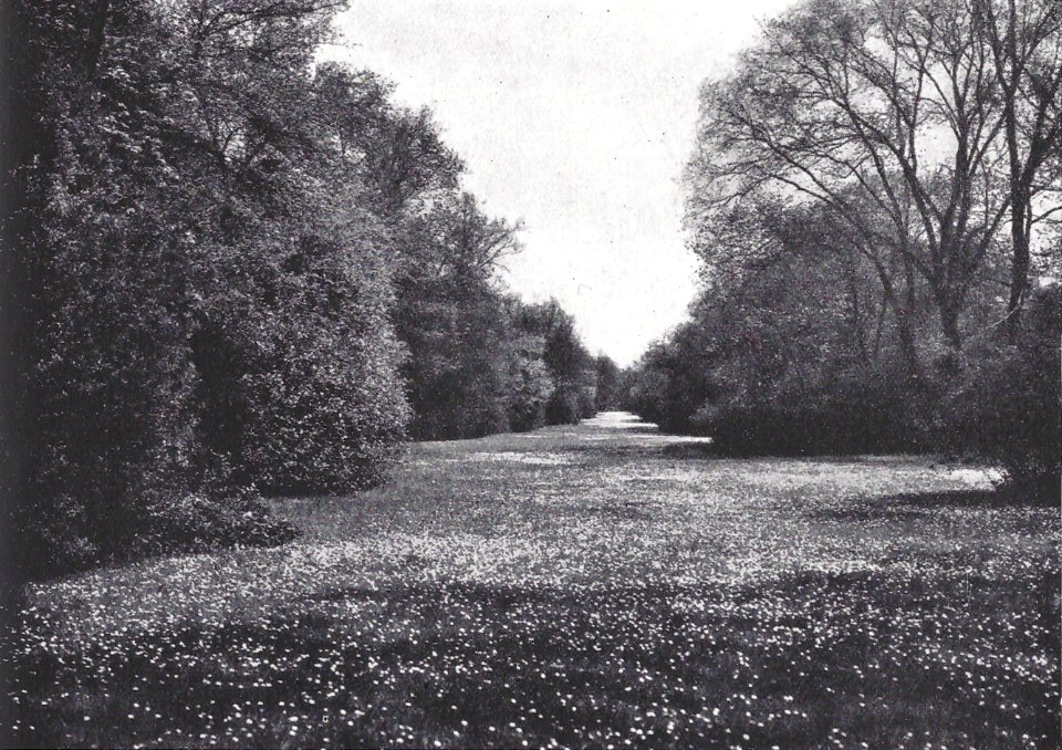 Magdeburg Zum Park umgewandelte ehemalige Festungswälle