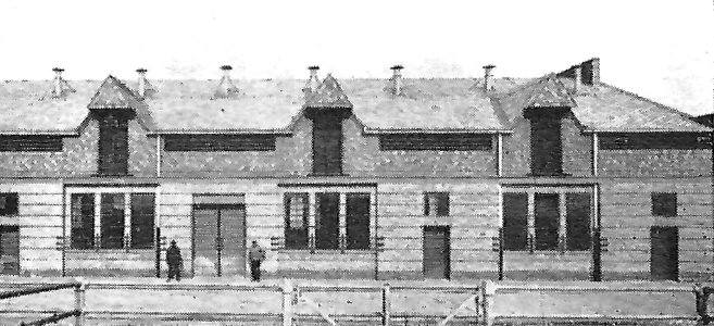 Magdeburg Schweinestallungen 1926