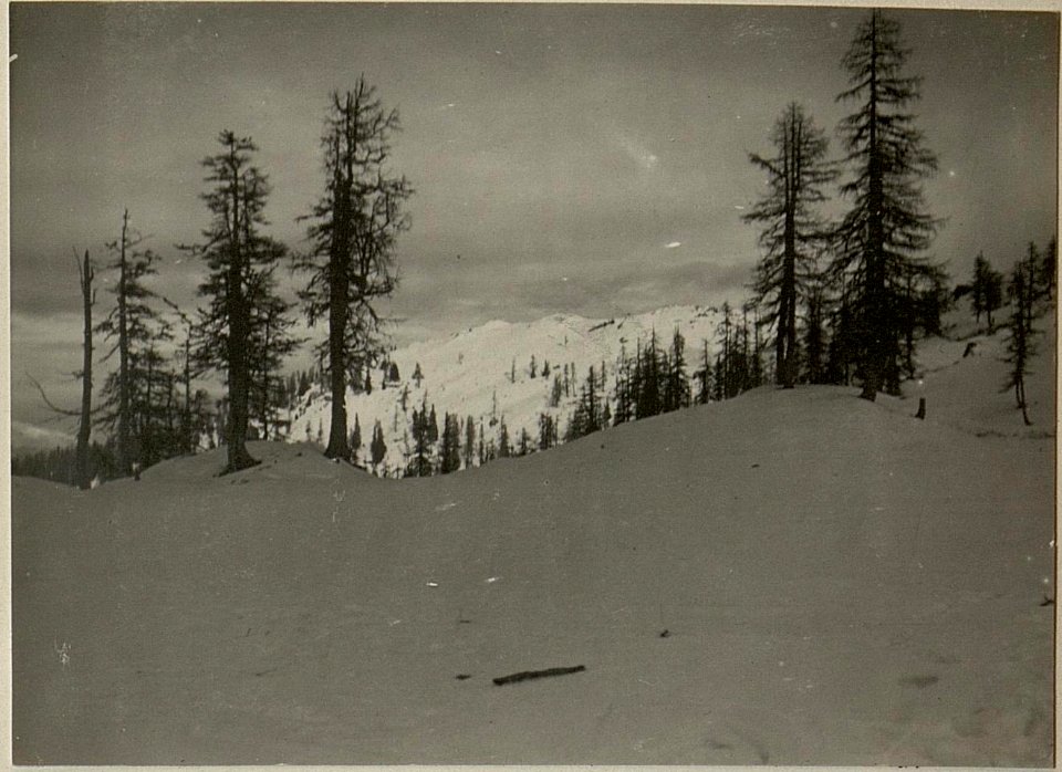 Madritschener Artilleriestellung + 1914, Blick nach Norden. (BildID 15471352)