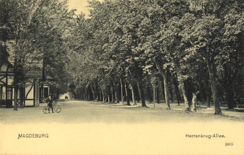 Magdeburg, Sachsen-Anhalt - Herrenkrugallee (Zeno Ansichtskarten)