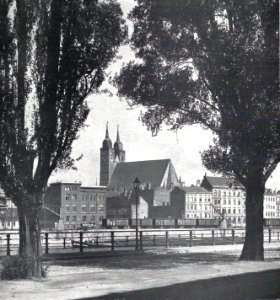 Magdeburg Blick auf die Johanneskirche