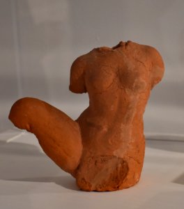 Maillol - Torse 03