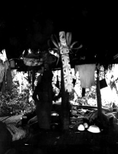 Magisk träfigur i medicinmannen Selimos hydda. Figuren förvärvades ej. Etnisk grupp, Emperá-Chocó - SMVK - 003976