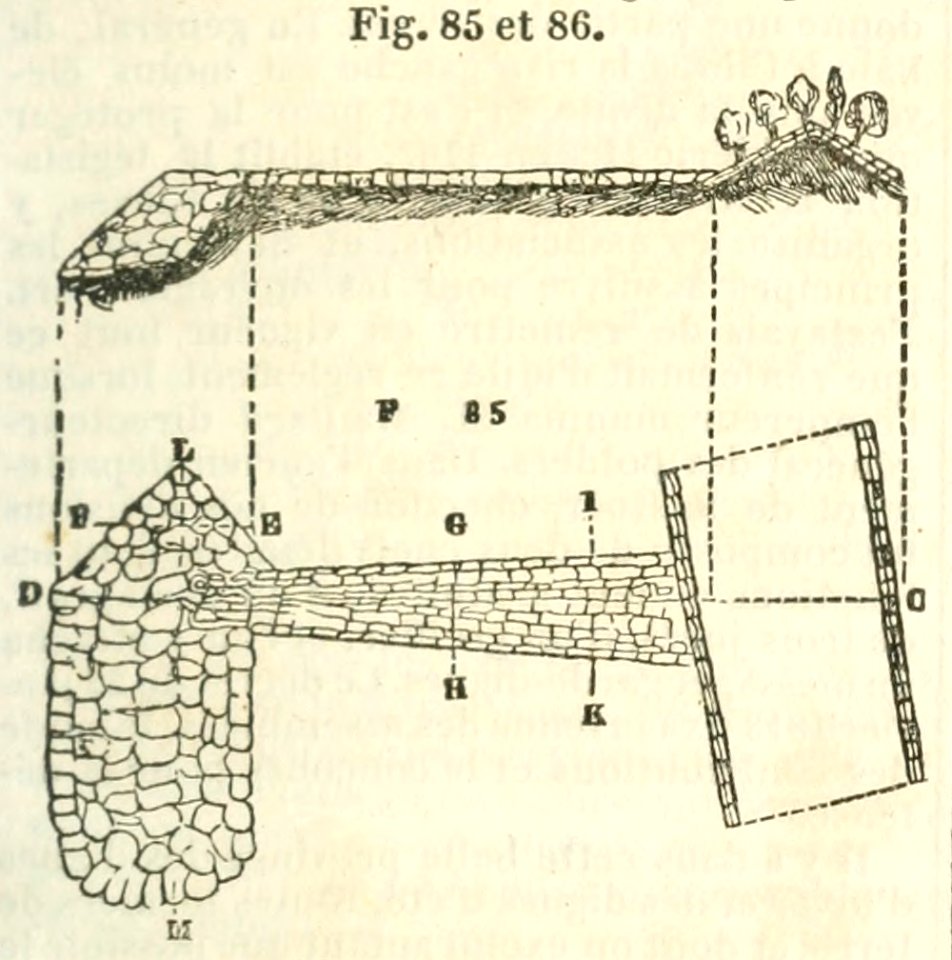 Maison rustique du XIXe siècle, éd. Bixio, 1844, I (page 127) - Fig 85, 86