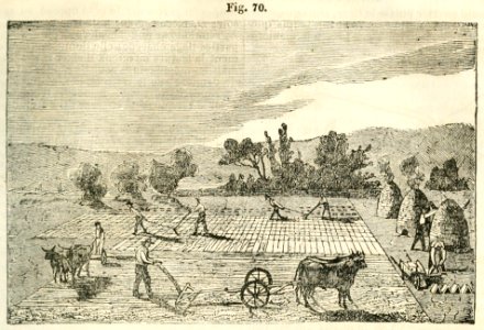 Maison rustique du XIXe siècle, éd. Bixio, 1844, I (page 117) - Fig 70