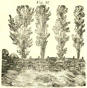 Maison rustique du XIXe siècle, éd. Bixio, 1844, I (page 125) - Fig 83