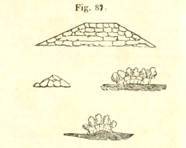 Maison rustique du XIXe siècle, éd. Bixio, 1844, I (page 127) - Fig 87