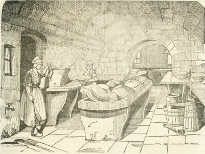 Maison rustique du XIXe siècle, éd. Bixio, 1844, III (page 1) - Fig 1