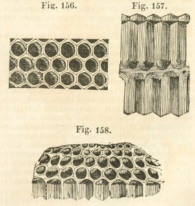 Maison rustique du XIXe siècle, éd. Bixio, 1844, III (page 157) - Fig 156, 157, 158