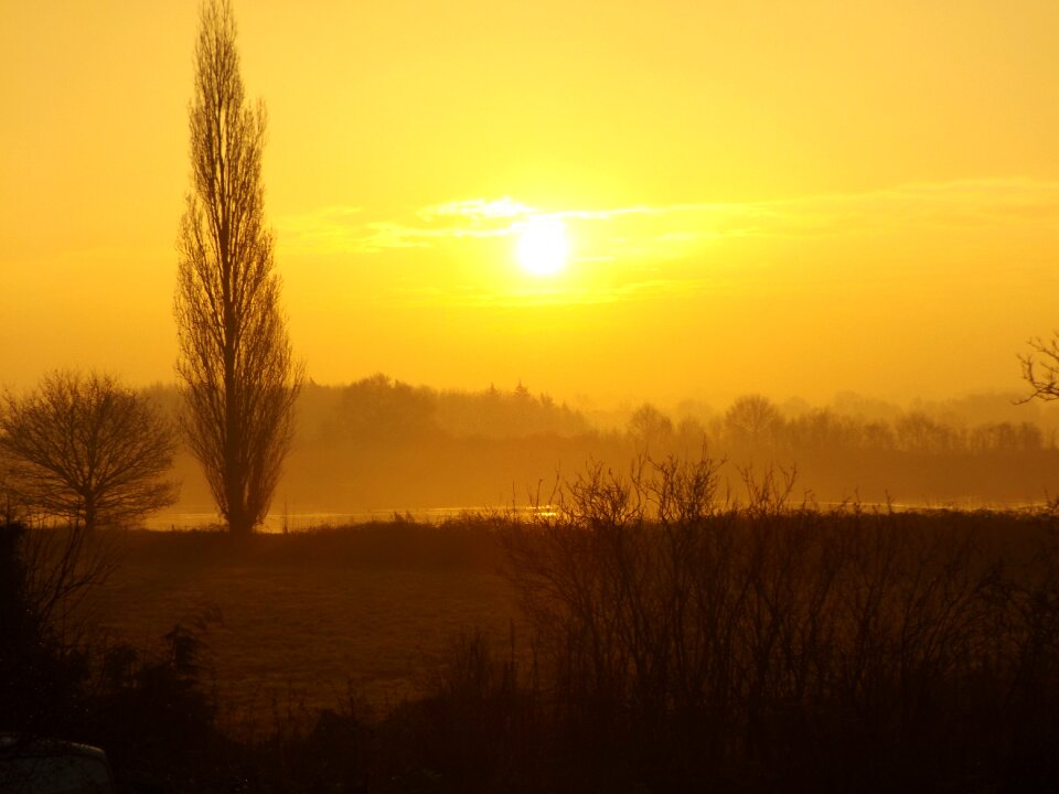Nature sky morning