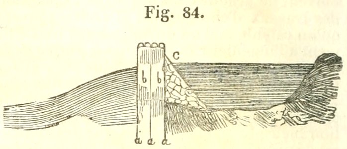 Maison rustique du XIXe siècle, éd. Bixio, 1844, I (page 126) - Fig 84