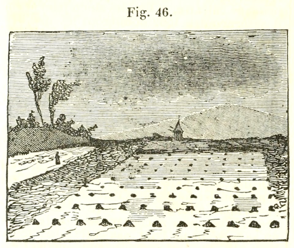 Maison rustique du XIXe siècle, éd. Bixio, 1844, I (page 62) - Fig 46