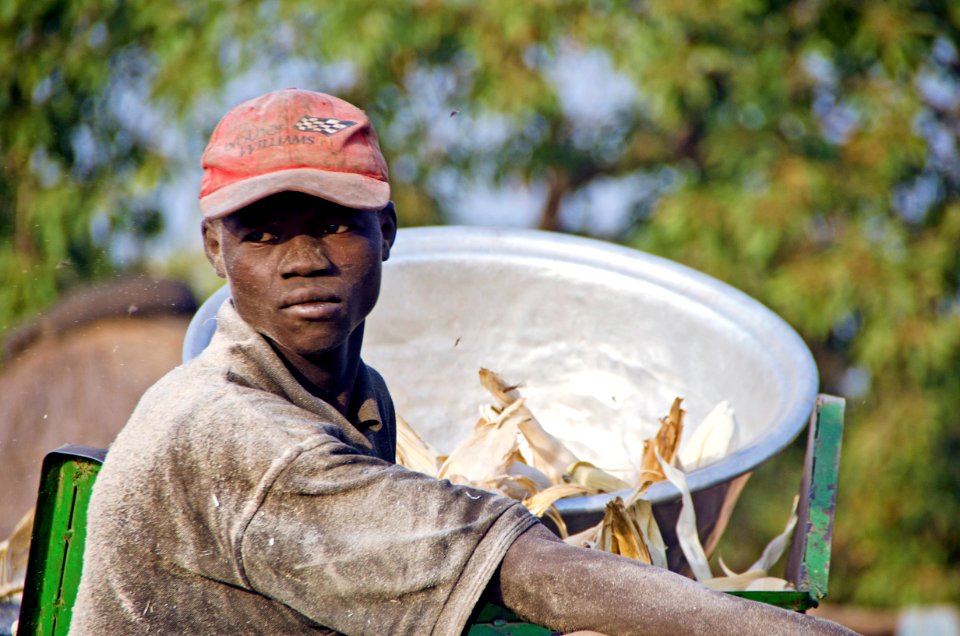 Maize Farmer in Ghana (8202282261)