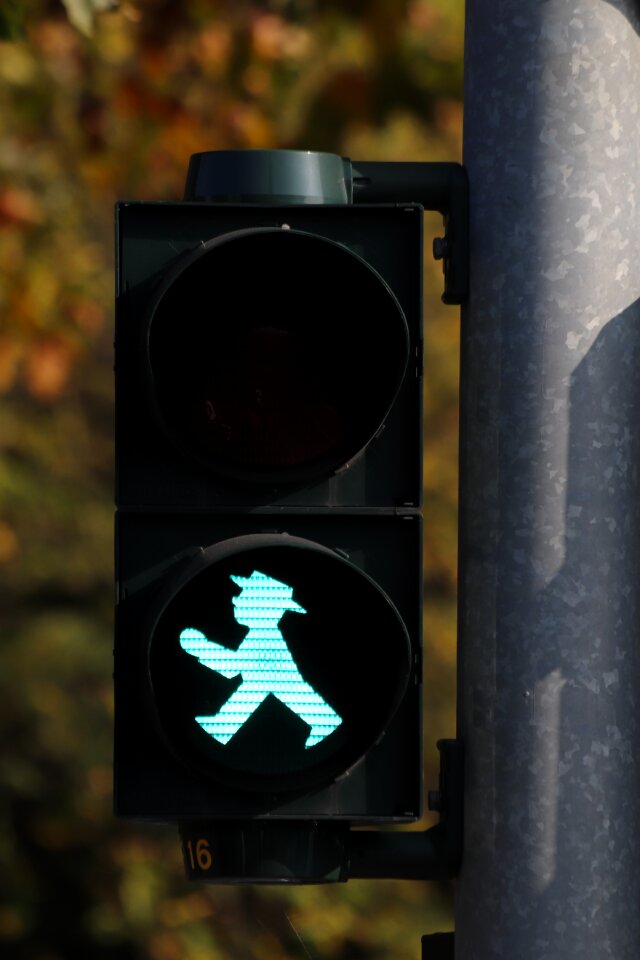Pedestrian crossing traffic signal cross