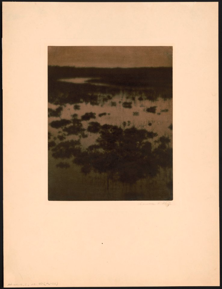 Maine marshes - Clarence H. White '09. LCCN00650894