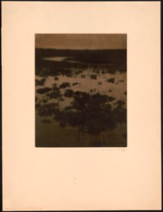 Maine marshes - Clarence H. White '09. LCCN00650894